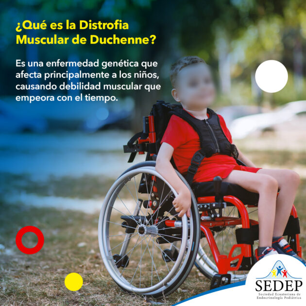 ¿Qué es la Distrofia Muscular de Duchenne?