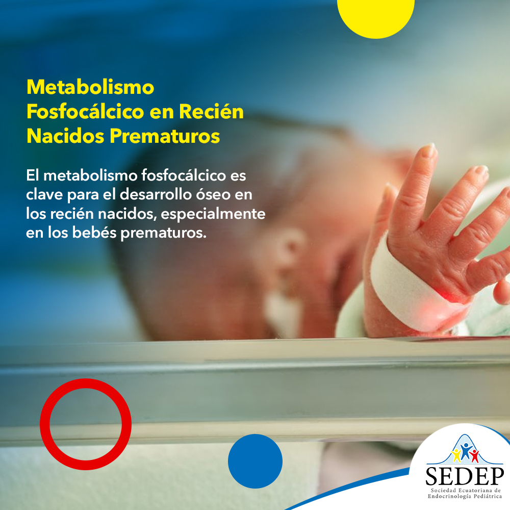 Metabolismo Fosfocálcico en Recién Nacidos Prematuros